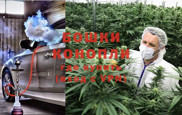 apvp Аркадак