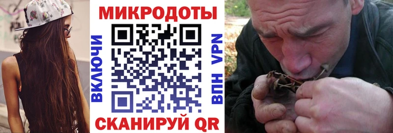 Псилоцибиновые грибы Cubensis  Стрежевой 